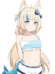 sameko saba from indie virtual youtuber
