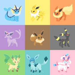 eevee from pokemon