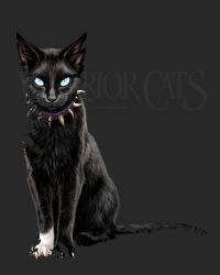 scourge (warrior cats) from the prophecies begin