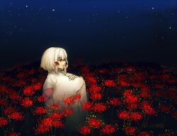 shiragiku (fatal frame) from fatal frame by anago (tokyo retro gokko)