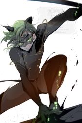 adrien agreste from miraculous ladybug