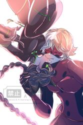 adrien agreste from miraculous ladybug