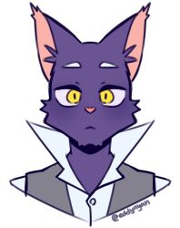 shin kuroi from morenatsu