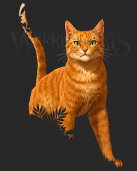 firestar (warrior cats) from warrior cats
