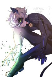 adrien agreste from miraculous ladybug