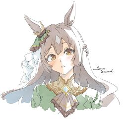 satono diamond (umamusume) from umamusume