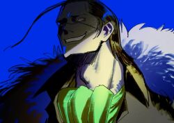 crocodile (one piece) from one piece