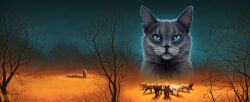 bluestar (warrior cats) from the prophecies begin