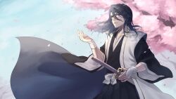 kuchiki byakuya from bleach
