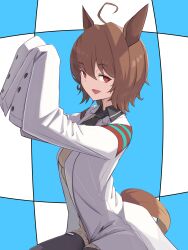 agnes tachyon (tach-nology) (umamusume) from umamusume