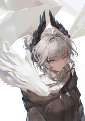 raidian (arknights) from arknights