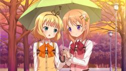 hoto cocoa from gochuumon wa usagi desu ka?