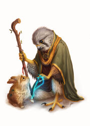 druid fan art