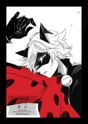 adrien agreste from miraculous ladybug