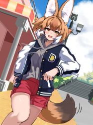 dhole (kemono friends) from kemono friends