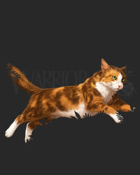 warrior cats fan art