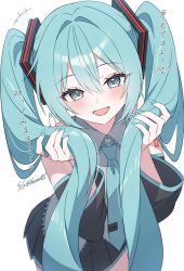 hatsune miku from vocaloid