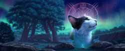 warrior cats fan art