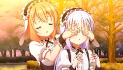 hoto cocoa from gochuumon wa usagi desu ka?