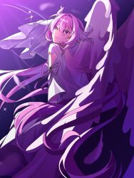 elysia (honkai impact) from honkai (series)