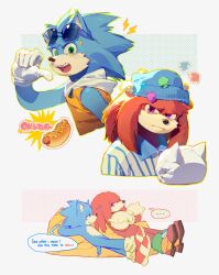 knuckles the echidna from sonic (series)