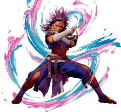 street fighter fan art