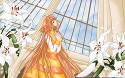 hanato kobato from kobato by clamp