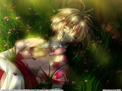tsubasa reservoir chronicle fan art