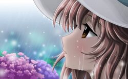 kobato fan art