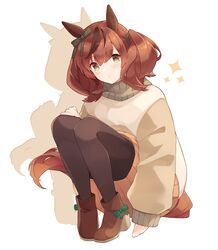umamusume fan art