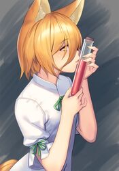 kudamaki tsukasa from touhou by tarmo