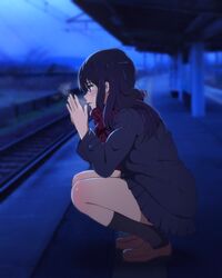 kousaka reina from hibike! euphonium by sbel02