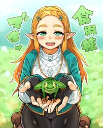 princess zelda from the legend of zelda by fukumaaya