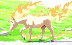 rapidash from pokemon by komepan