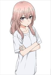 inui sajuna from sono bisque doll wa koi wo suru by nnyu