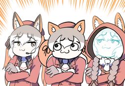 island fox (kemono friends) from kemono friends by mcgunngu