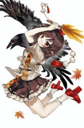 shameimaru aya from touhou