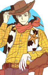 sheriff woody from toy story