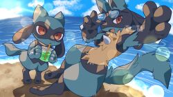 lucario from pokemon