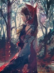 hakurei reimu from touhou by aihara-rina