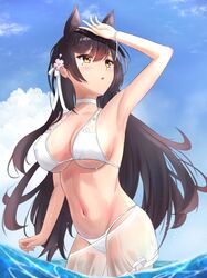 atago (azur lane) from azur lane