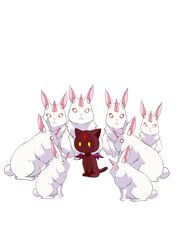chomusuke from kono subarashii sekai ni shukufuku wo! by yasehattagi