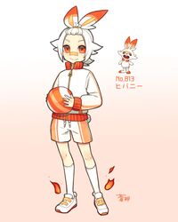 scorbunny from pokemon