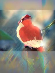 pidgey from pokemon