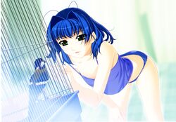 Booru post from safebooru.org