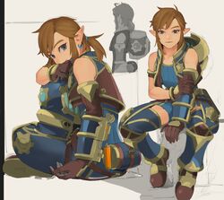 link from the legend of zelda