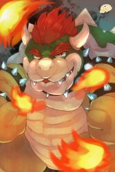bowser from mario (series)