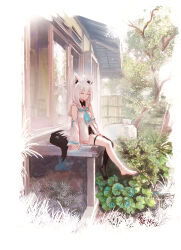 shirakami fubuki from hololive