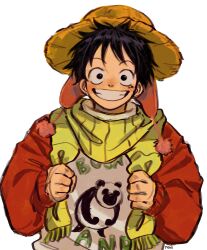 monkey d. luffy from one piece
