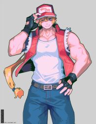 terry bogard from fatal fury